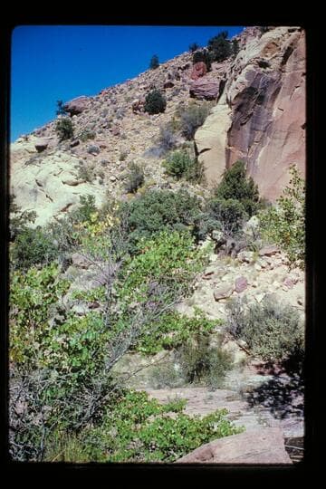 Trail down into Yellow Water Creek
