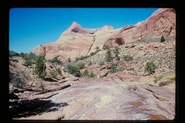 Down Bald Rock Creek on Rainbow Bridge Trail