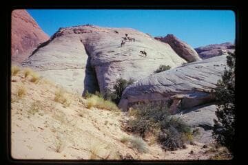 Up slick rock north of Sid Whiskers Basin