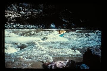 "Wee Yellow" tops Vulcan