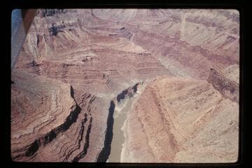 Up to Vasey's Paradise