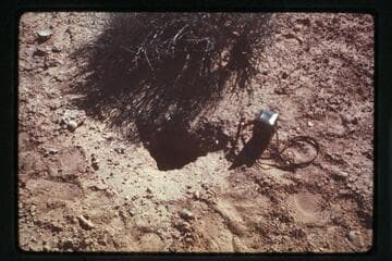 Opening from crevice near mouth of Cha Canyon