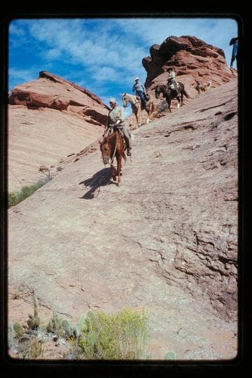 Sid Whiskers, Buck, and Dan ride off the divide between Black Water and Nasja