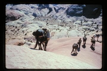 Down from ledge into basin north of Sid Whiskers Butte