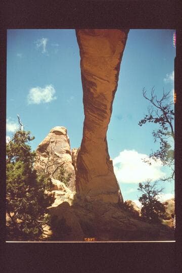 Landscape Arch from beneath