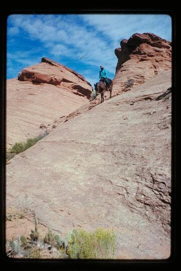 Divide between Bald Rock and Nasja Creek