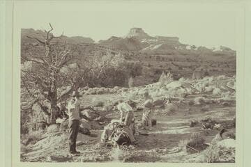 Camp in north fork of Navajo Creek.  Octagon Butte and the end of Cummings Mesa is in background.  Bahe is at left; Tom Daly packs the bags and Masland looks the situation over