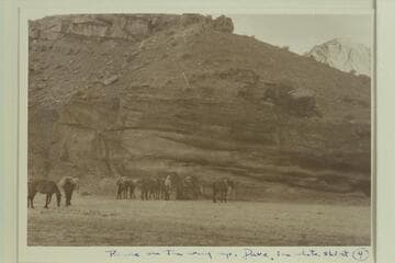 Pause on the way up the side canyon from the Escalante River.  Dave Rust wears the light shirt.  The party was enroute from Hole-in-the-Rock to Waterpocket Fold, 1937
