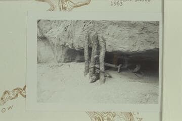 Cut logs near the "NINO" and "ALLEN" inscriptions near the mouth of the side canyon at left bank of the Escalante below Davis Gulch