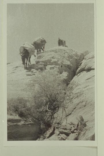 Route of descent into Escalante River.  Dave Rust party crossing from Hole-in-the-Rock to Waterpocket Fold