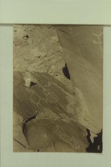 RB-MV photo captioned:  ???  Where?  There are petroglyphs on large boulders--right bank--about 1/2 mile above Rock Creek.  Approximately Mile 56
