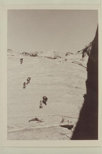 Leading the stock down the slick rock into the head of the northeast fork of 73.6