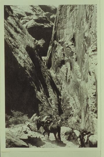 Red Bud Pass.  Dropping into Cliff Canyon