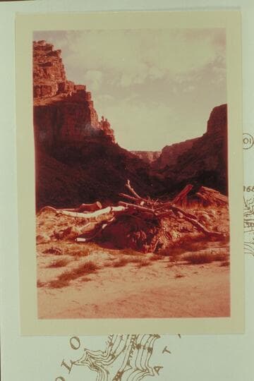 Down from camp near Waterhole Canyon at Mile 198.6