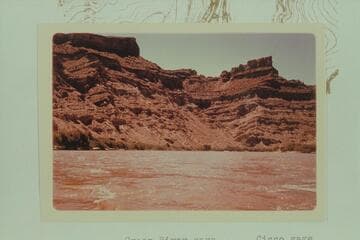 A bonanza buzzes the Junction