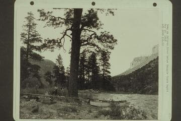 Camp on Dolores River below Snaggle Tooth Rapid