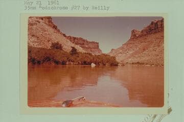 Up from Mile 213 1/2 in Cataract Canyon