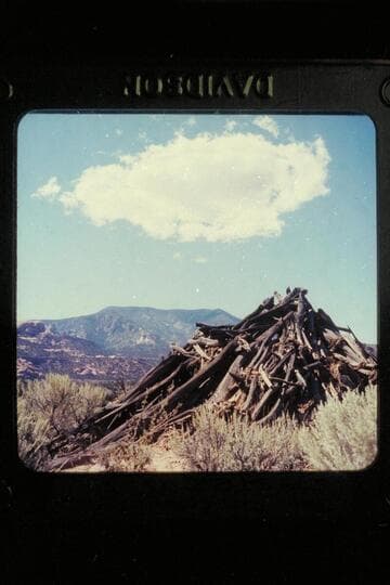 Navajo Mountain from Trail Canyon