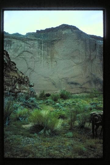 Wall opposite mouth of Roost Canyon
