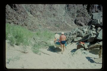 Hauling yaks to river; Diamond Creek