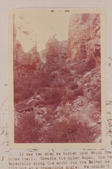 Trail route through the Coconino in Moqui Trail Canyon