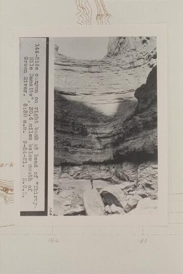 8:30 AM, in the side canyon at Mile 186.2, Cove Canyon. Side canyon on right bank at the head of Thirty Mile Damisite.  LaRue places this 30.16 miles below the mouth of Green River which would be Mile 185.9