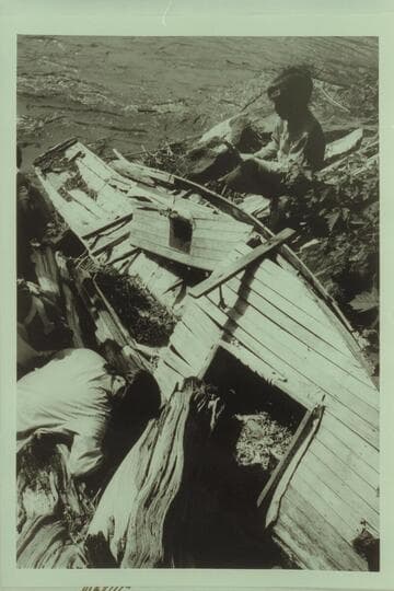 The hulk of the "Illinois Girl" abandoned in 1936 by Anton Backus at about Mile 240, right bank