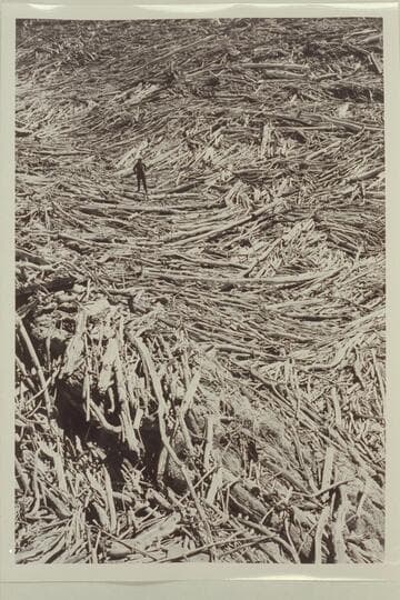 Clif Segerblom stands in field of drift at head of Lake Mead