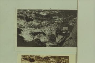 Portage of Kolb boat at Lava Cliff Rapid.  The water is extremely low