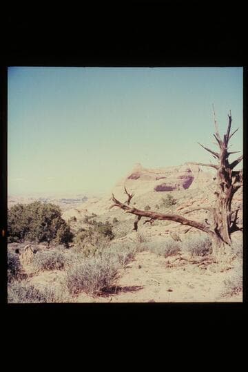 Cha Butte from trail to bridge near Bald Rock Creek
