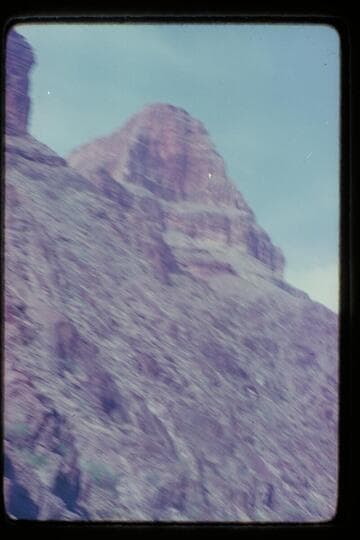 Mouth Fern Glen Canyon; Mile 168