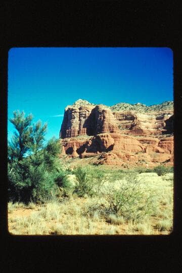 Cathedral Rock and tree; Oak Creek Canyon