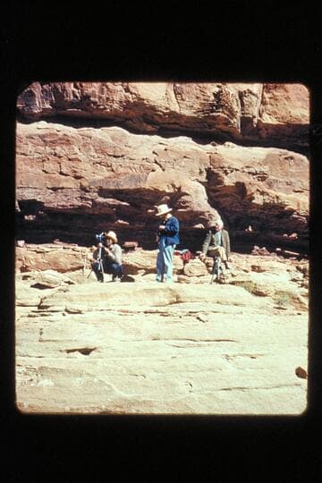 Dock, Frank, and Joe; Needles