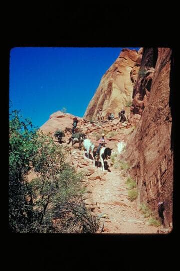 Group coming down trail