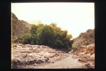 View up Diamond Creek from its mouth; Bright Angel gauge July 27: 18,300; July 28: 18.1; July 29: 17.4