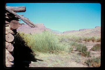 Up trachyte Canyon from Cook house, Hite