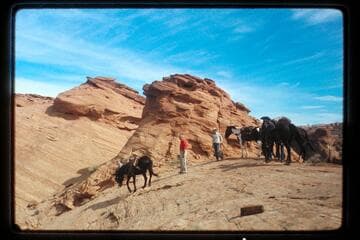 Top slick-rock, divide, Bald Rock and Nasja Creeks