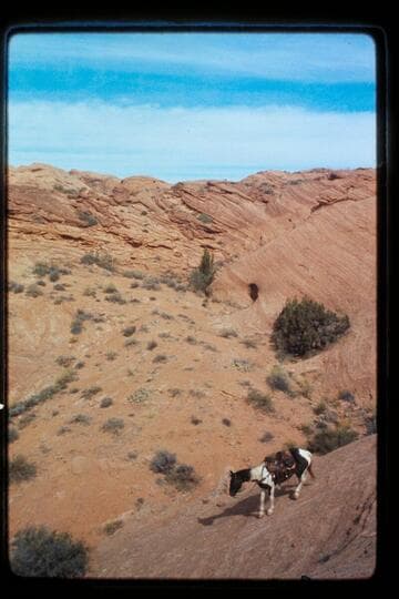Down slick-rock into Nasja drainage