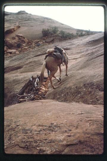 Slickrock Trail west of Nasja Creek