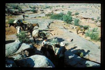 Camp; Horsethief Tanks