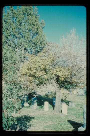 Graves of James and Octavia White; Trinidad, Colorado