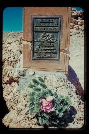 [Gilbert H.] Hanson plaque, flowers