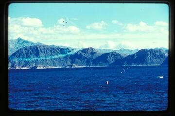 Thunderbirds; Gold Cup Races