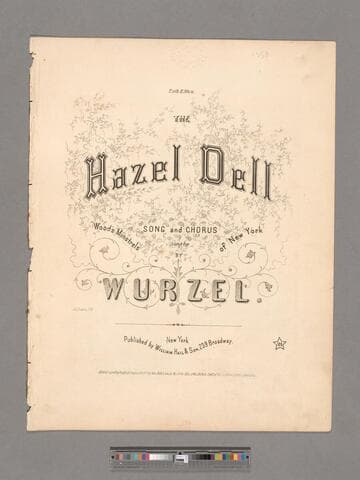 The hazel dell : song and chorus  / sung by Wood's Minstrels of New York ; by Wurzel