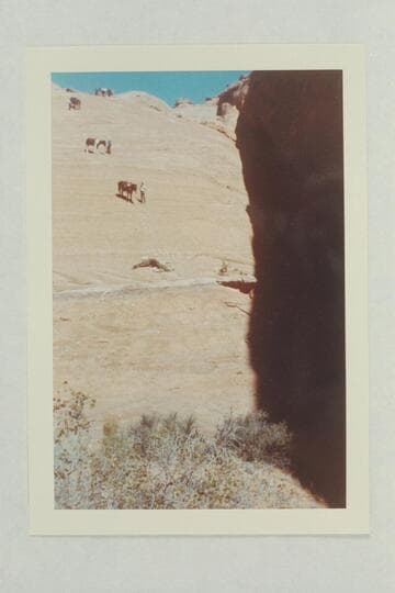 Down the slick rock into the head of the northeast fork of 73