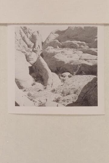 View into middle fork of 73 from trail into southwest fork.  The cave at right was located as one of the prehistoric sites