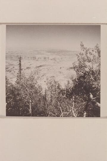 Fifty Mile Mountain and Glen Canyon from top of Navajo Mountain