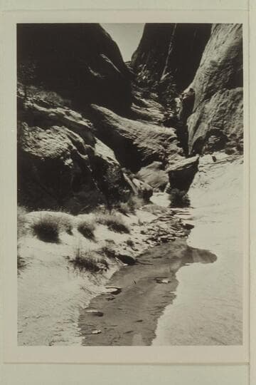 Bottom of Moepitz Canyon above point of entry from both sides