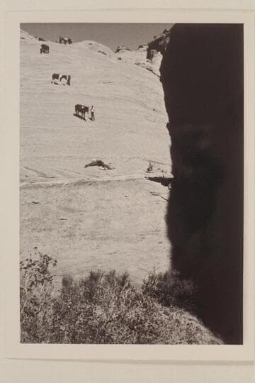 Down the slick rock into head of northeast fork of 73.6--Lehi Canyon