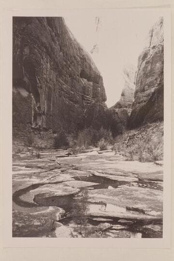 Up Anasazi Canyon from near junction with Moepitz Canyon